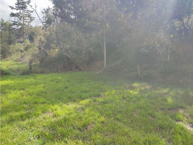 place photo 66