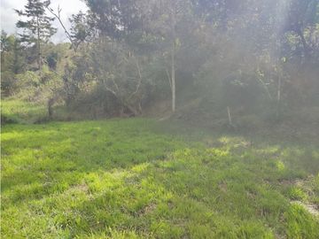 place photo 66