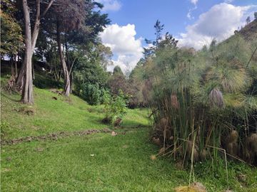 place photo 61