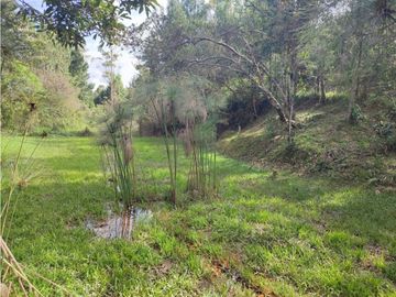 place photo 65