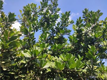 place photo 47