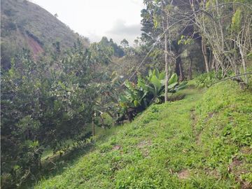 place photo 68