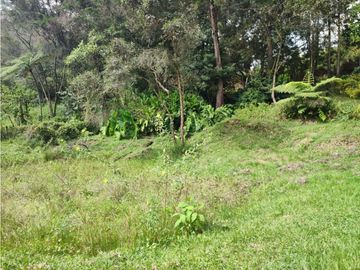 place photo 62