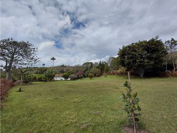 place photo 71