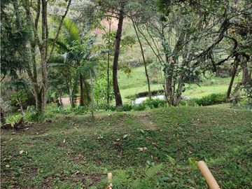 place photo 57