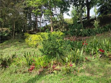 place photo 63