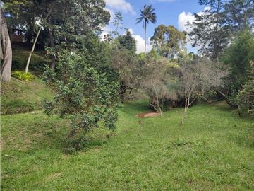 place photo 58
