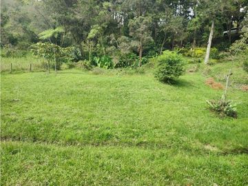 place photo 59