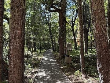 place photo 36