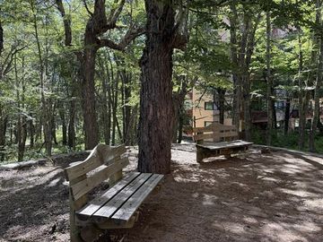 place photo 38