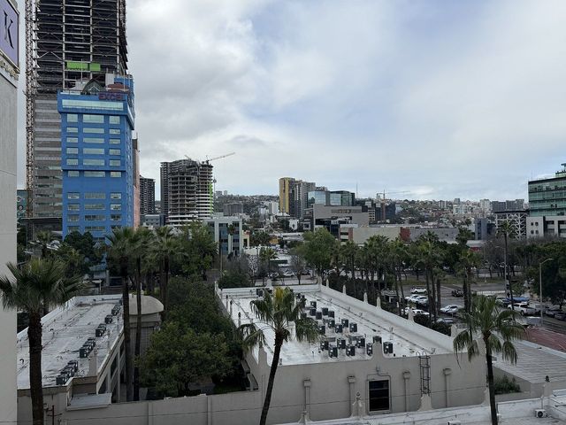 place photo 46