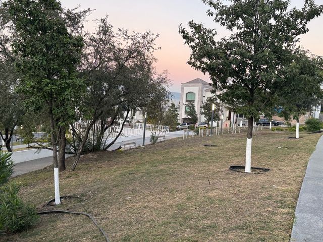place photo 34