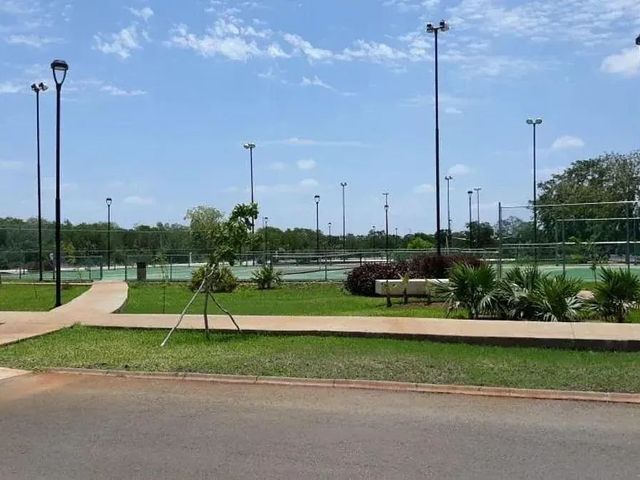 place photo 20