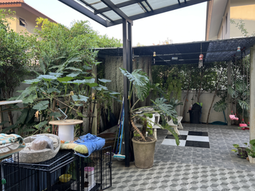 place photo 45