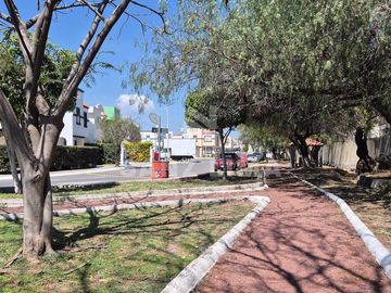 place photo 26