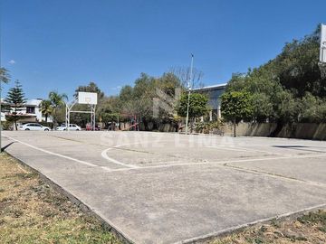 place photo 24