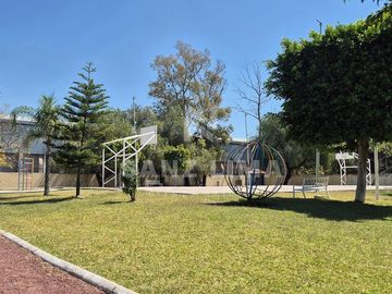 place photo 23
