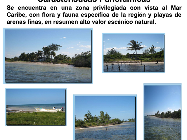 place photo 25