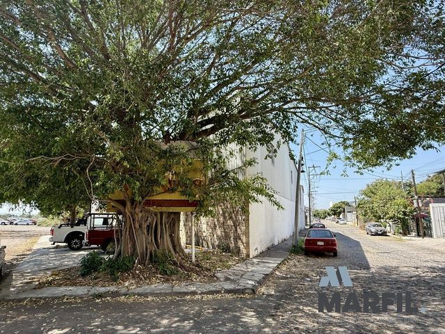place photo 15