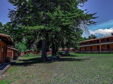 place photo 15