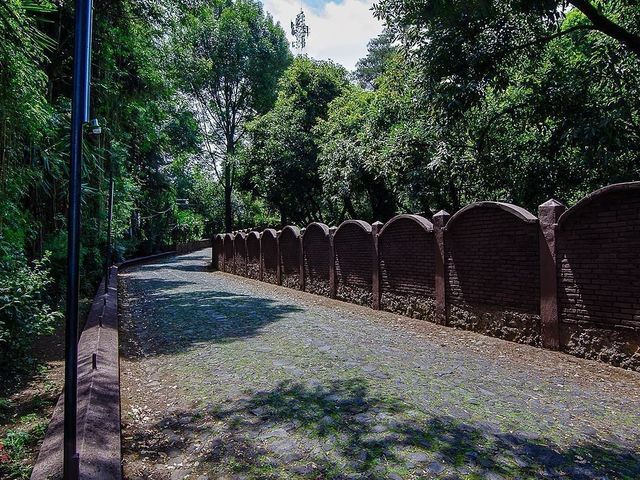 place photo 26