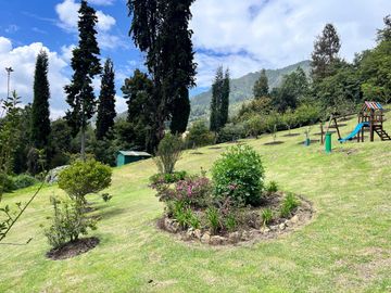 place photo 31