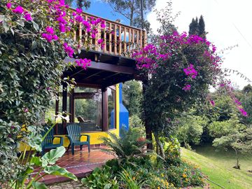 place photo 25