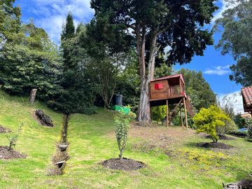 place photo 28