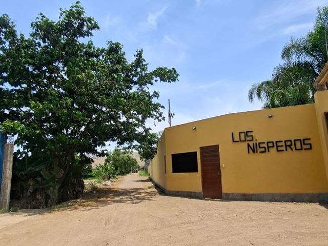 place photo 38