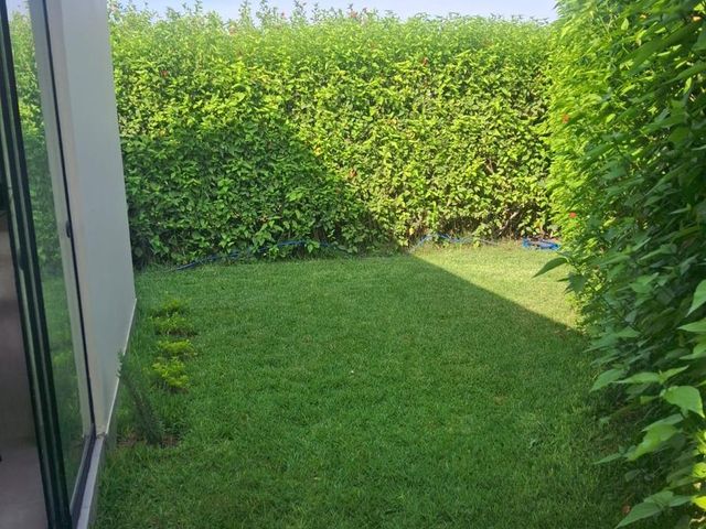 place photo 62