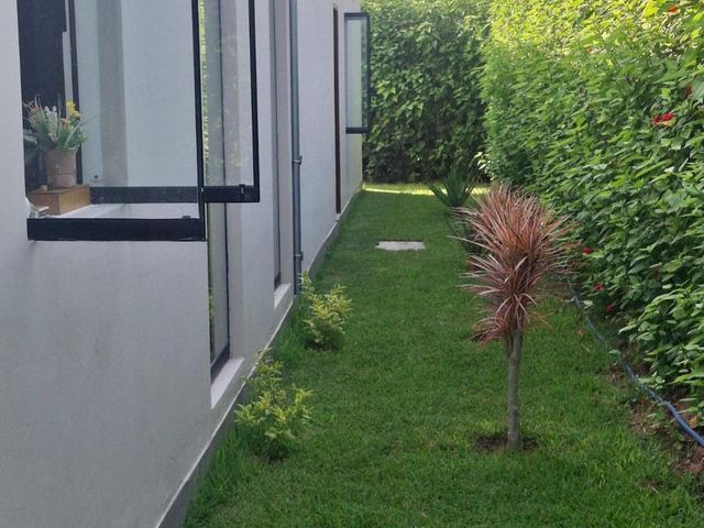 place photo 68