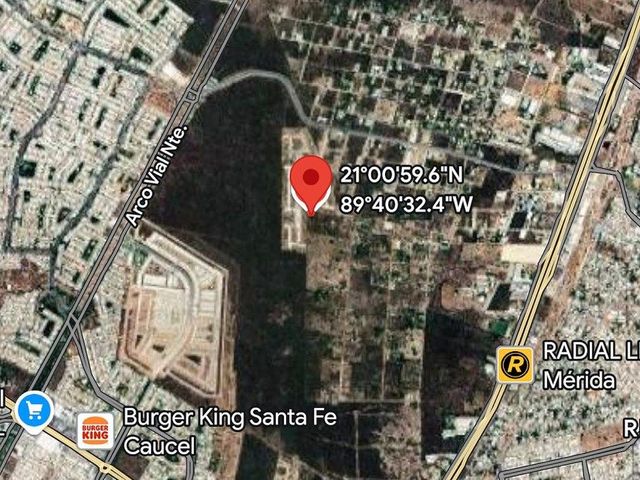 place photo 10