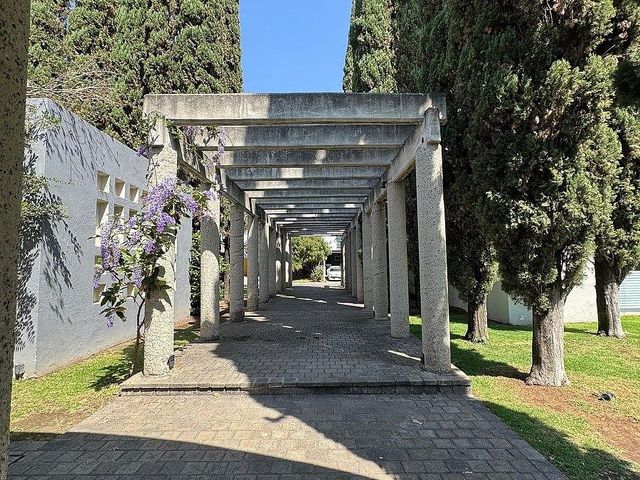 place photo 38