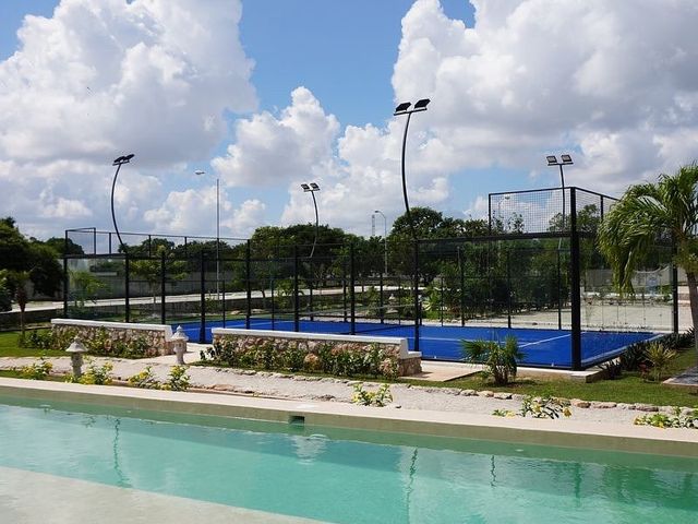 place photo 16