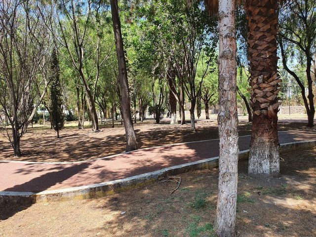 place photo 28