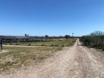 place photo 22