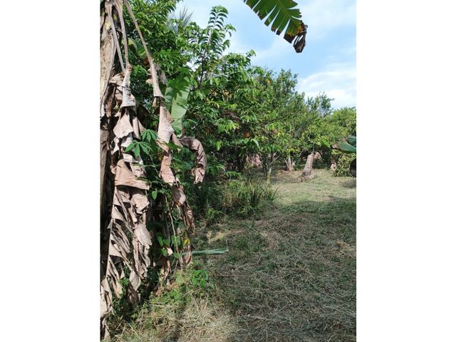 place photo 48