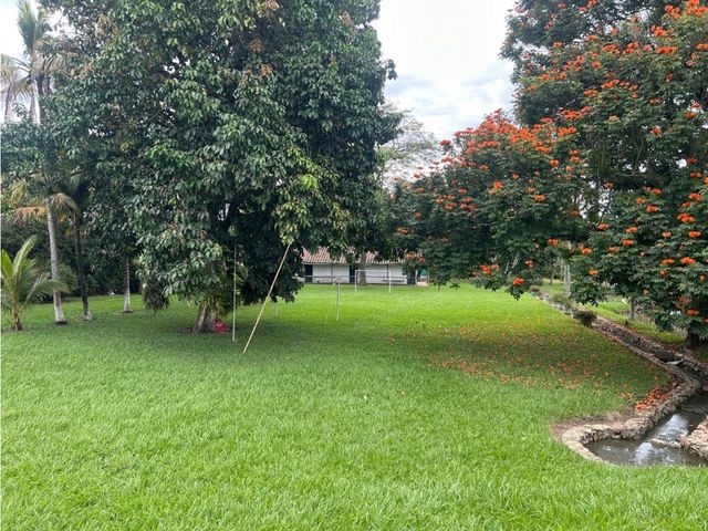 place photo 61