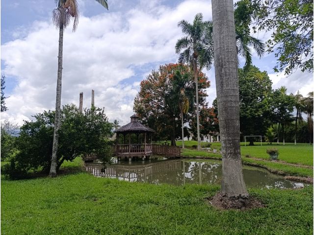 place photo 57