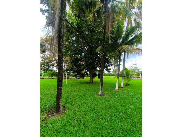 place photo 46
