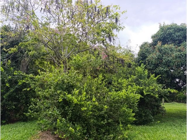 place photo 54