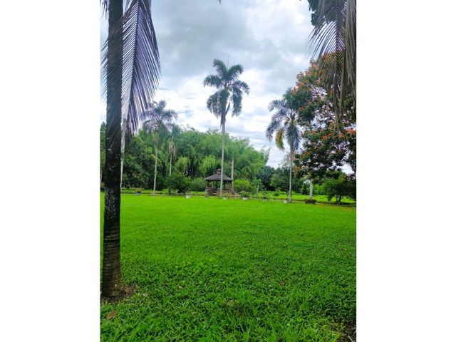 place photo 47