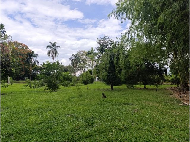 place photo 60