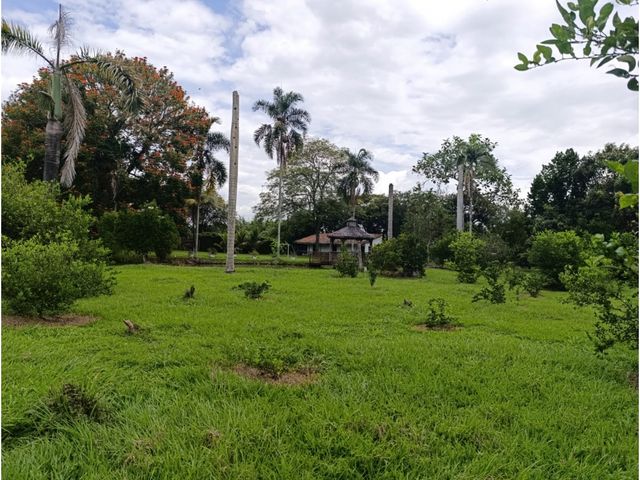 place photo 37