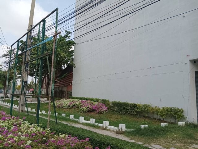 place photo 16