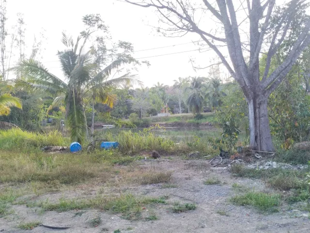 place photo 65