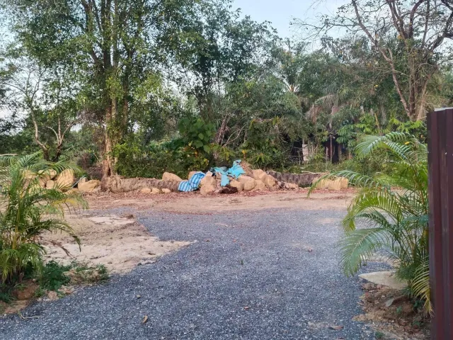 place photo 62