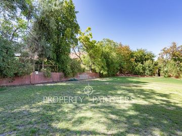 place photo 46
