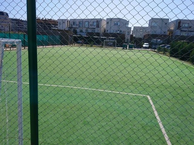 place photo 17
