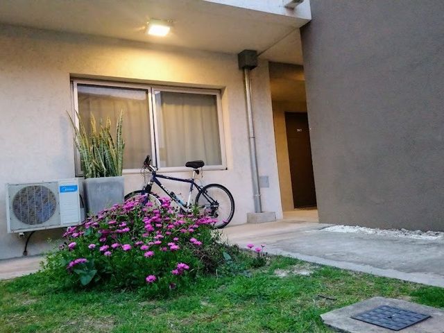 place photo 39